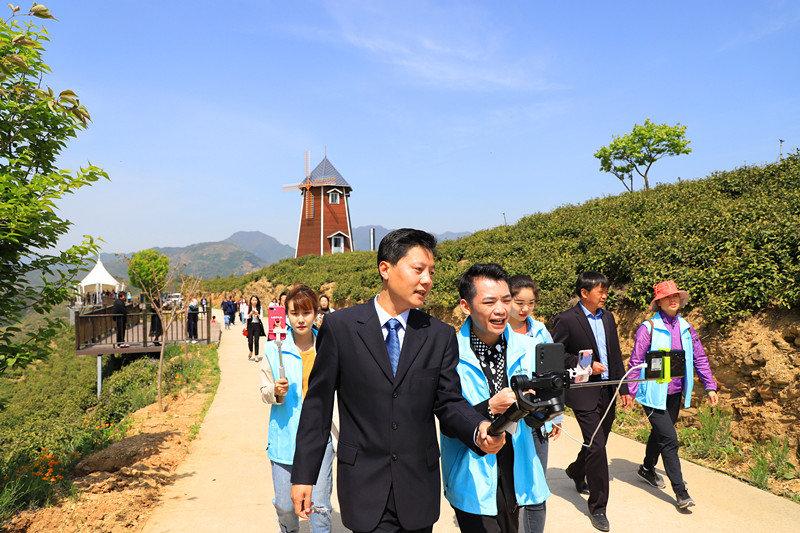 汉中哪有紫阳富硒茶（紫阳富硒茶厂）-硒宝网