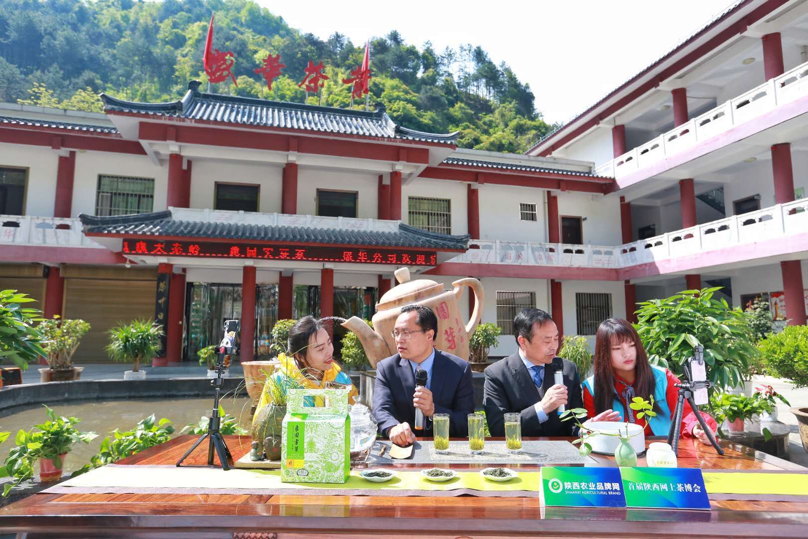 汉中哪有紫阳富硒茶（紫阳富硒茶厂）-硒宝网