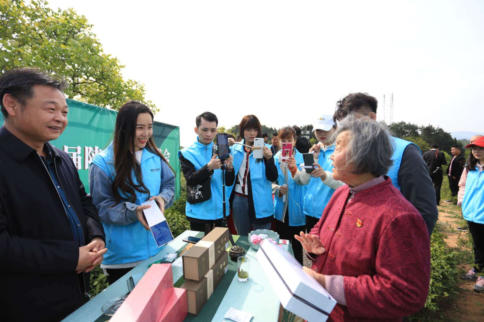 汉中哪有紫阳富硒茶（紫阳富硒茶厂）-硒宝网