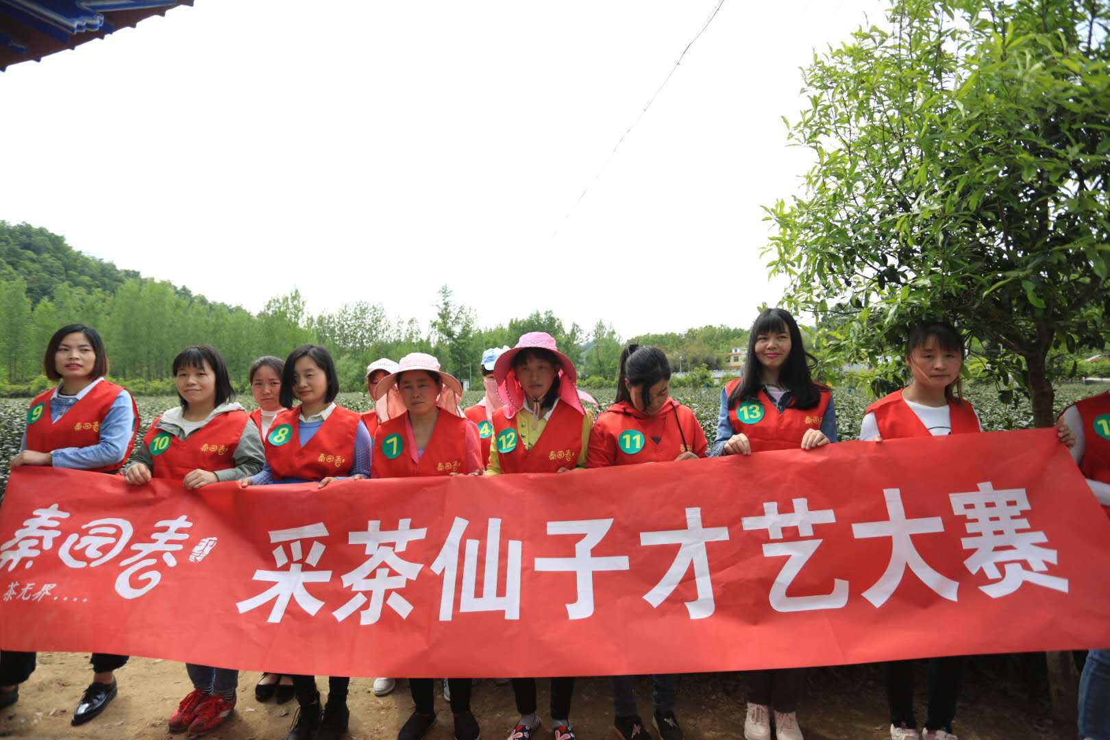 汉中哪有紫阳富硒茶（紫阳富硒茶厂）-硒宝网