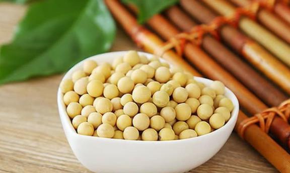 补铁的蔬菜（蔬菜补铁之王）-硒宝网