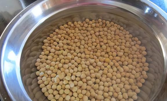 补铁的蔬菜（蔬菜补铁之王）-硒宝网