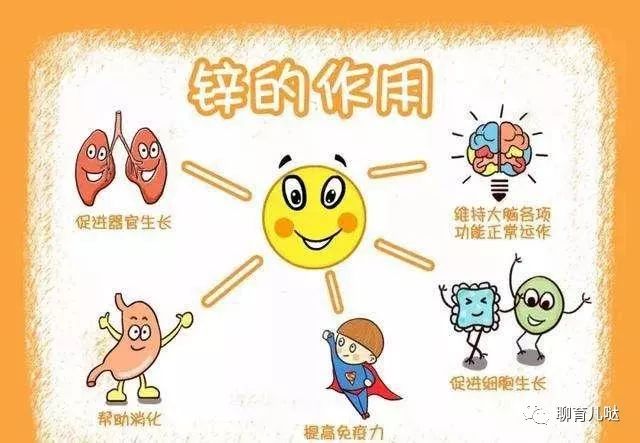 补锌的食物（什么食物补锌）-硒宝网