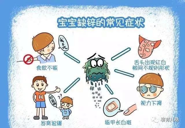 补锌的食物（什么食物补锌）-硒宝网
