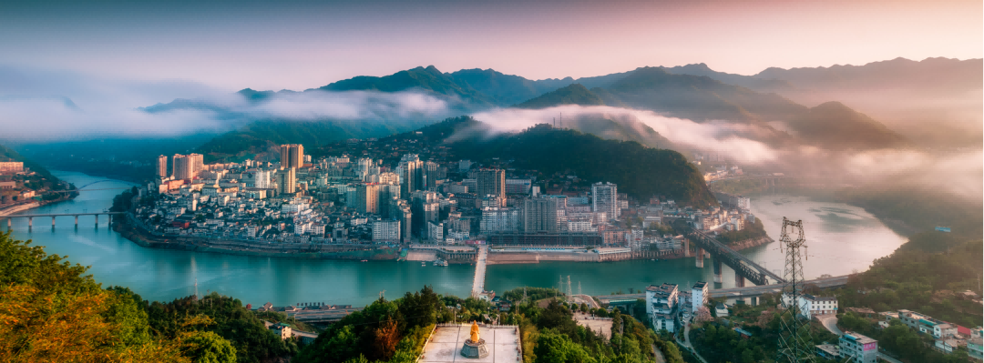 紫阳富硒茶田园乡村(紫阳富硒茶茶树)-硒宝网