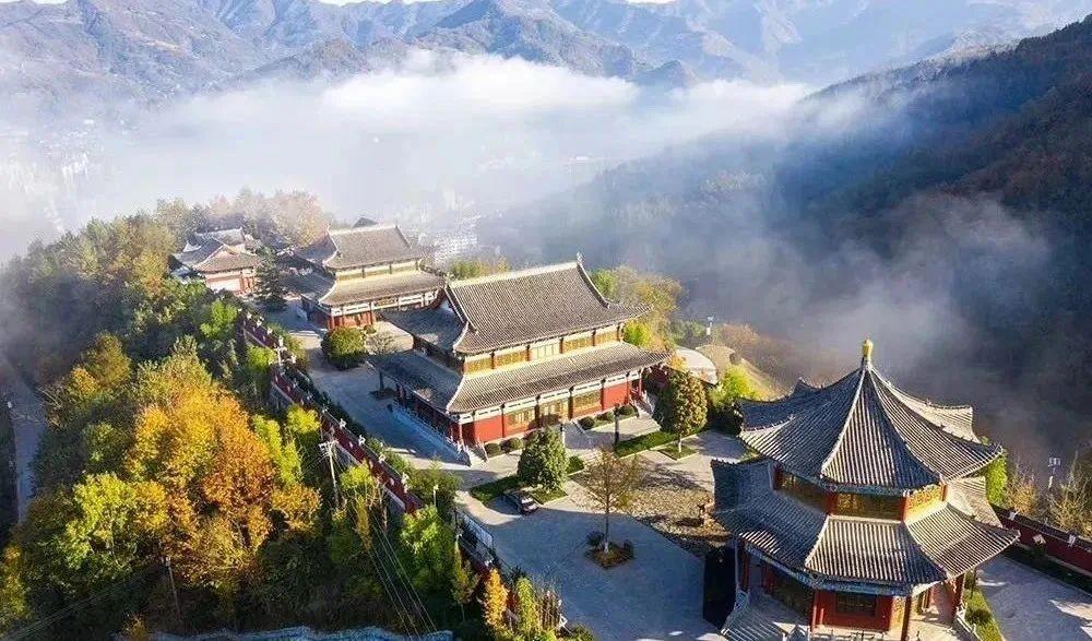 紫阳富硒茶田园乡村(紫阳富硒茶茶树)-硒宝网