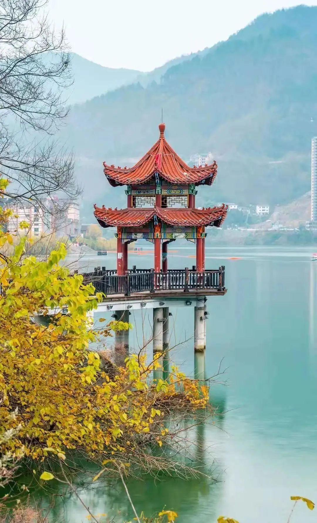 紫阳富硒茶田园乡村(紫阳富硒茶茶树)-硒宝网