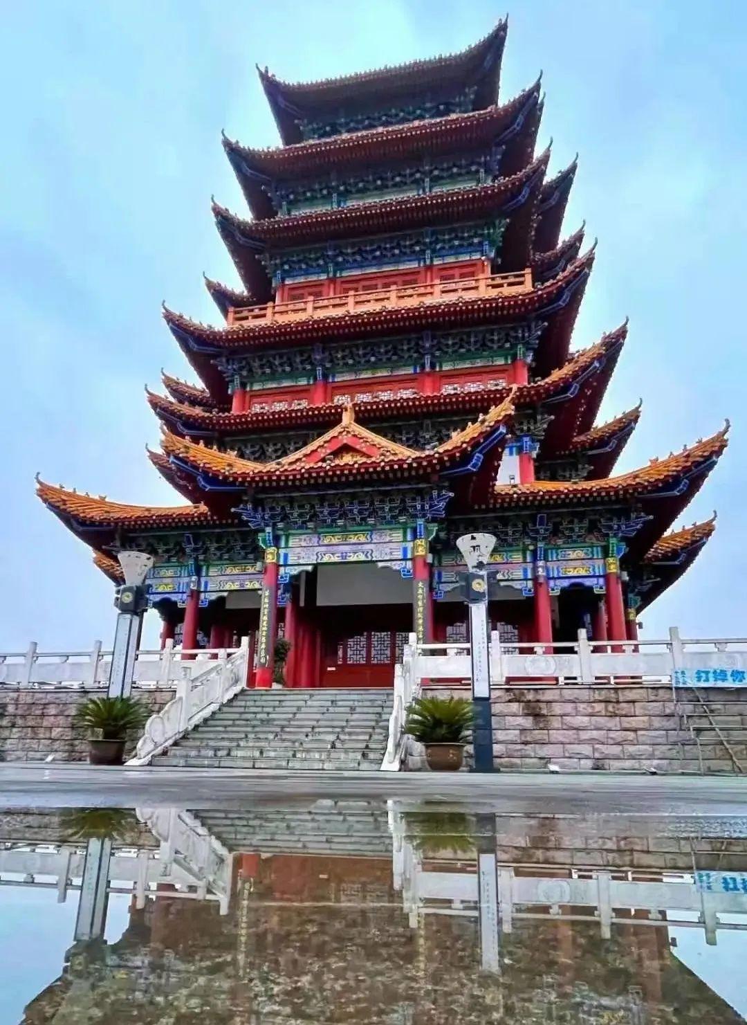 紫阳富硒茶田园乡村(紫阳富硒茶茶树)-硒宝网