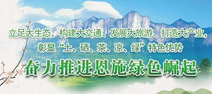 湖北富硒茶玉露工厂(湖北玉露茶叶)-硒宝网