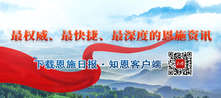 湖北富硒茶玉露工厂(湖北玉露茶叶)-硒宝网