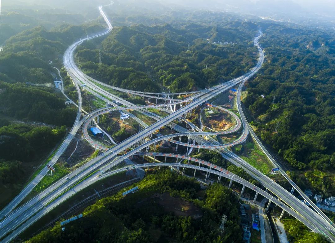 湖北富硒茶玉露工厂(湖北玉露茶叶)-硒宝网