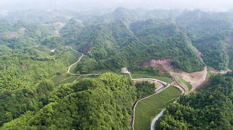 荆州富硒茶推荐企业（荆州茶叶有哪些茶叶）-硒宝网