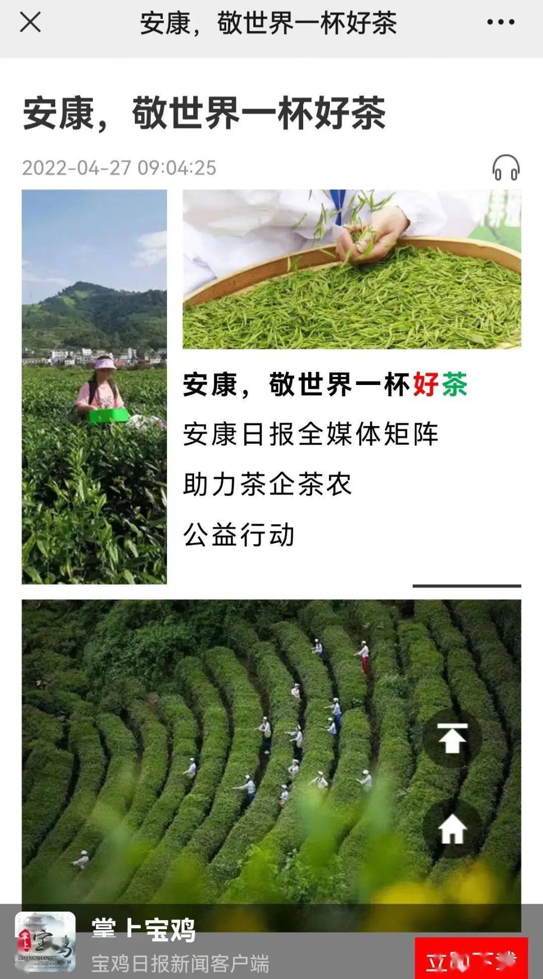 安康富硒茶营销体系（安康富硒茶产业）-硒宝网