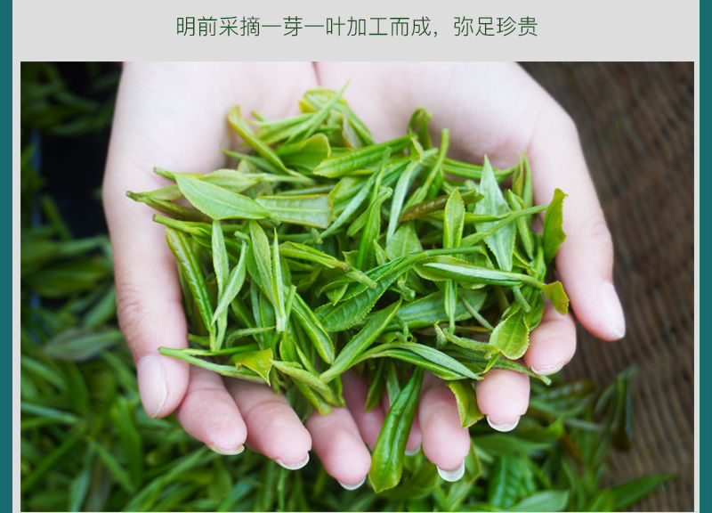 陕西紫阳富硒茶作用(陕西紫阳茶功效)-硒宝网