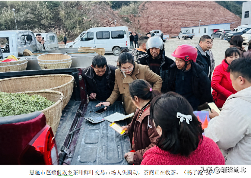 湖北恩施富硒茶工厂(湖北恩施富硒茶厂家)-硒宝网