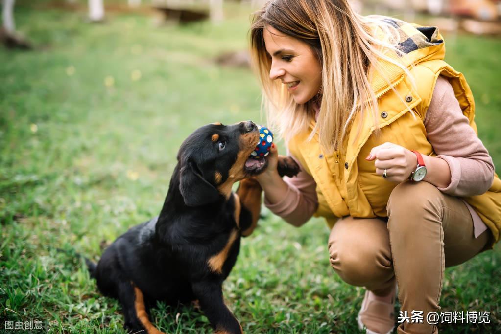 静脉补钙（静脉补钙有什么危害）-硒宝网