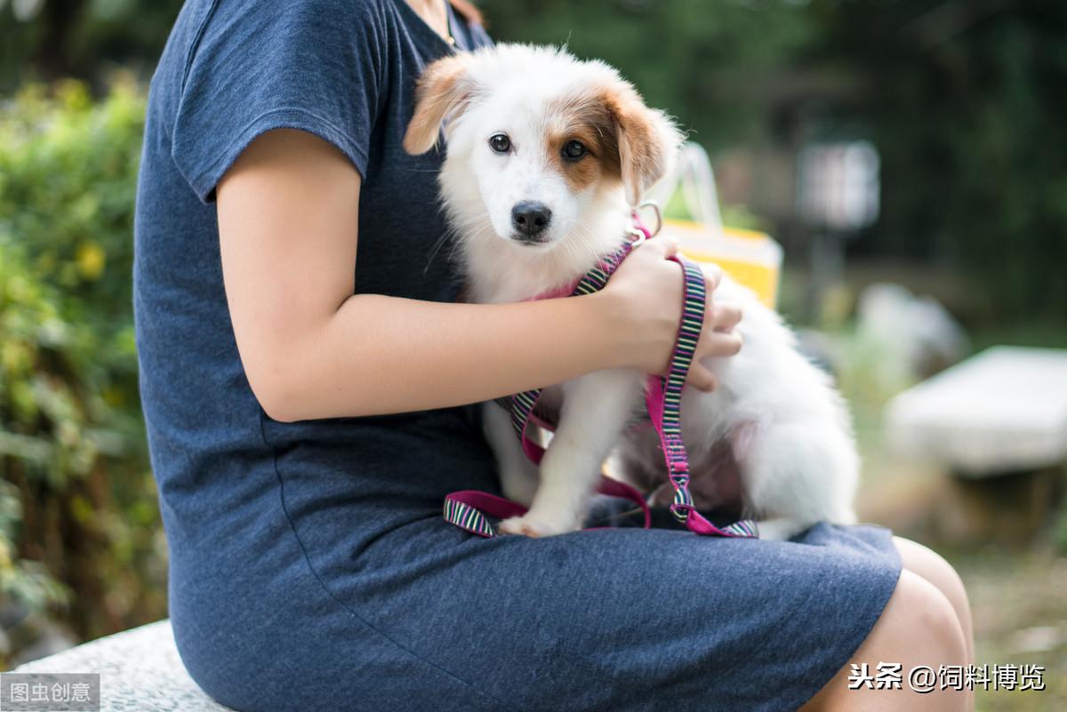 静脉补钙（静脉补钙有什么危害）-硒宝网