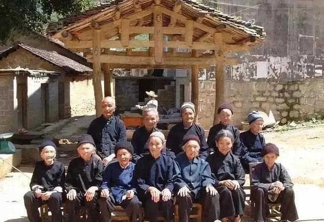 富硒黄金茶价格多少（黄金茶价格富硒多少）-硒宝网