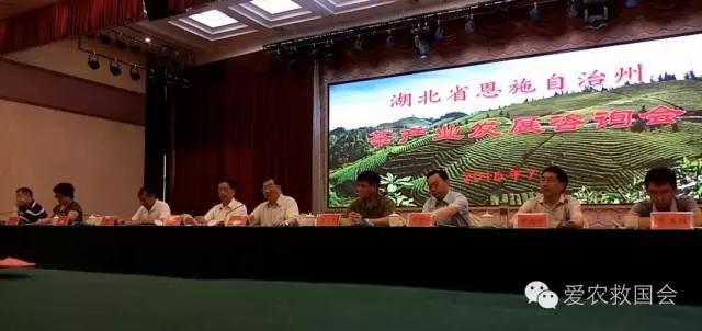 云雾问茶 恩施富硒(云雾茶叶价格)-硒宝网