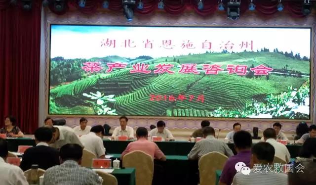 云雾问茶 恩施富硒(云雾茶叶价格)-硒宝网