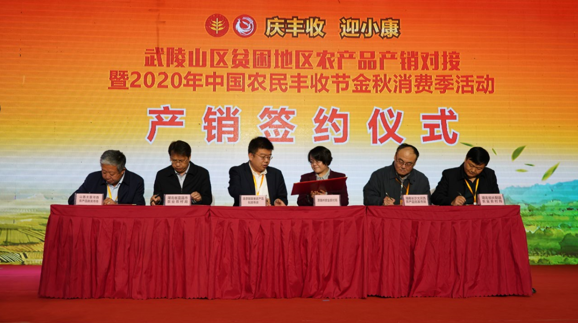 湖北恩施富硒茶工厂(湖北特产恩施富硒茶价格表)-硒宝网