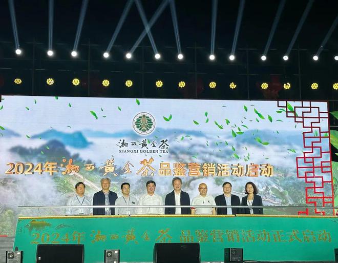 富硒黄金茶价格多少（黄金茶属于什么茶价格）-硒宝网