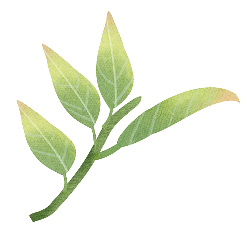 云雾问茶 恩施富硒（云雾富硒茶怎么样）-硒宝网