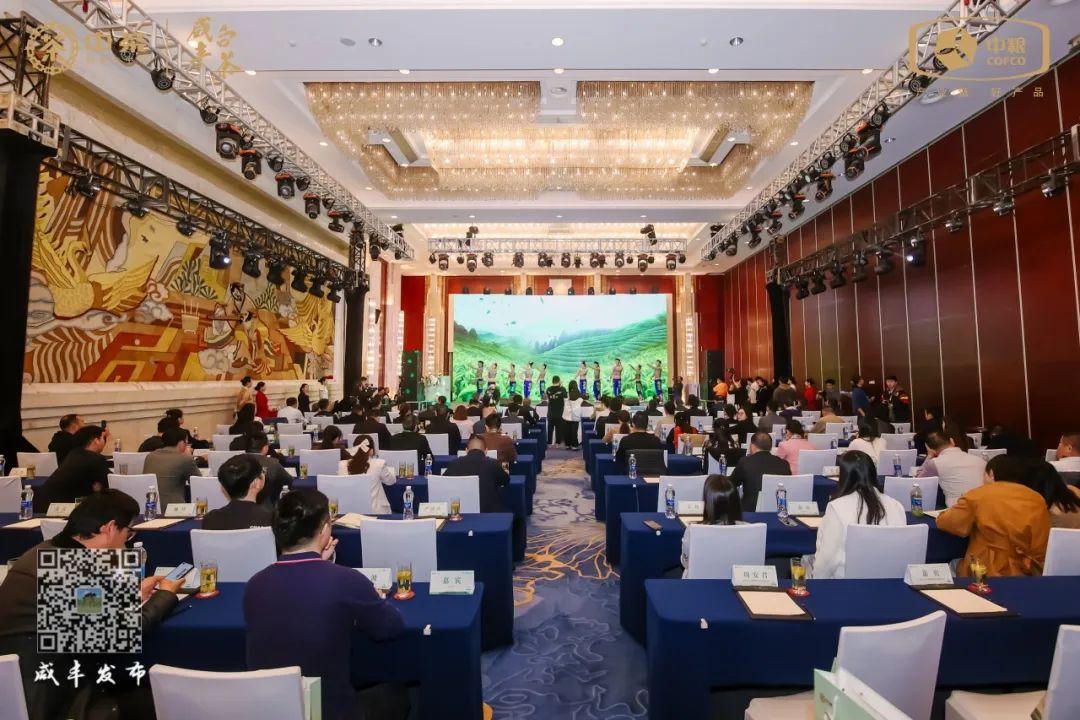 云雾问茶 恩施富硒（云雾富硒茶怎么样）-硒宝网