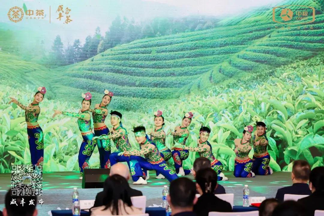 云雾问茶 恩施富硒（云雾富硒茶怎么样）-硒宝网