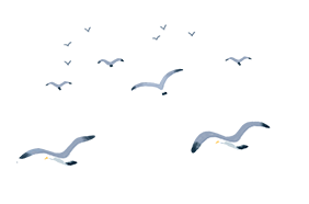 云雾问茶 恩施富硒（云雾富硒茶怎么样）-硒宝网