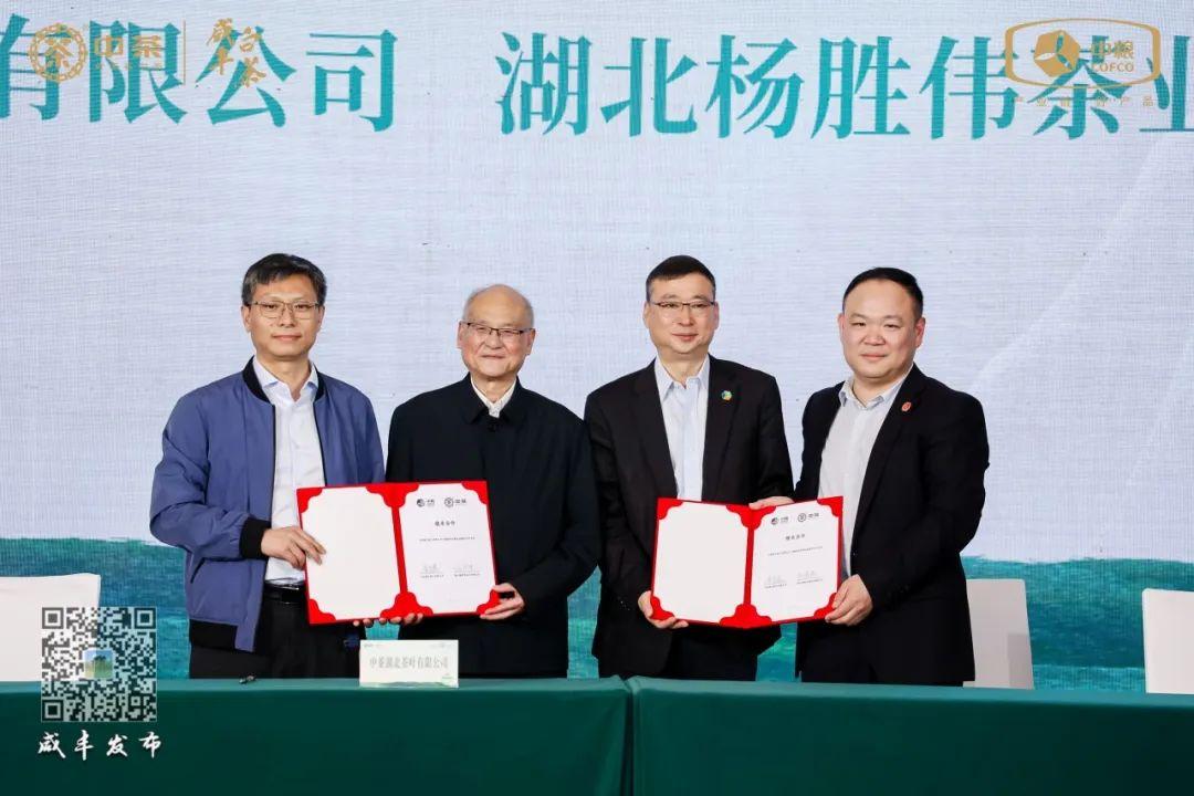 云雾问茶 恩施富硒（云雾富硒茶怎么样）-硒宝网