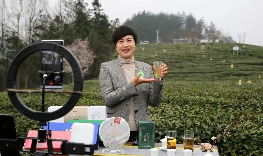 安康富硒茶在线直播（安康富硒茶的功效与作用）-硒宝网