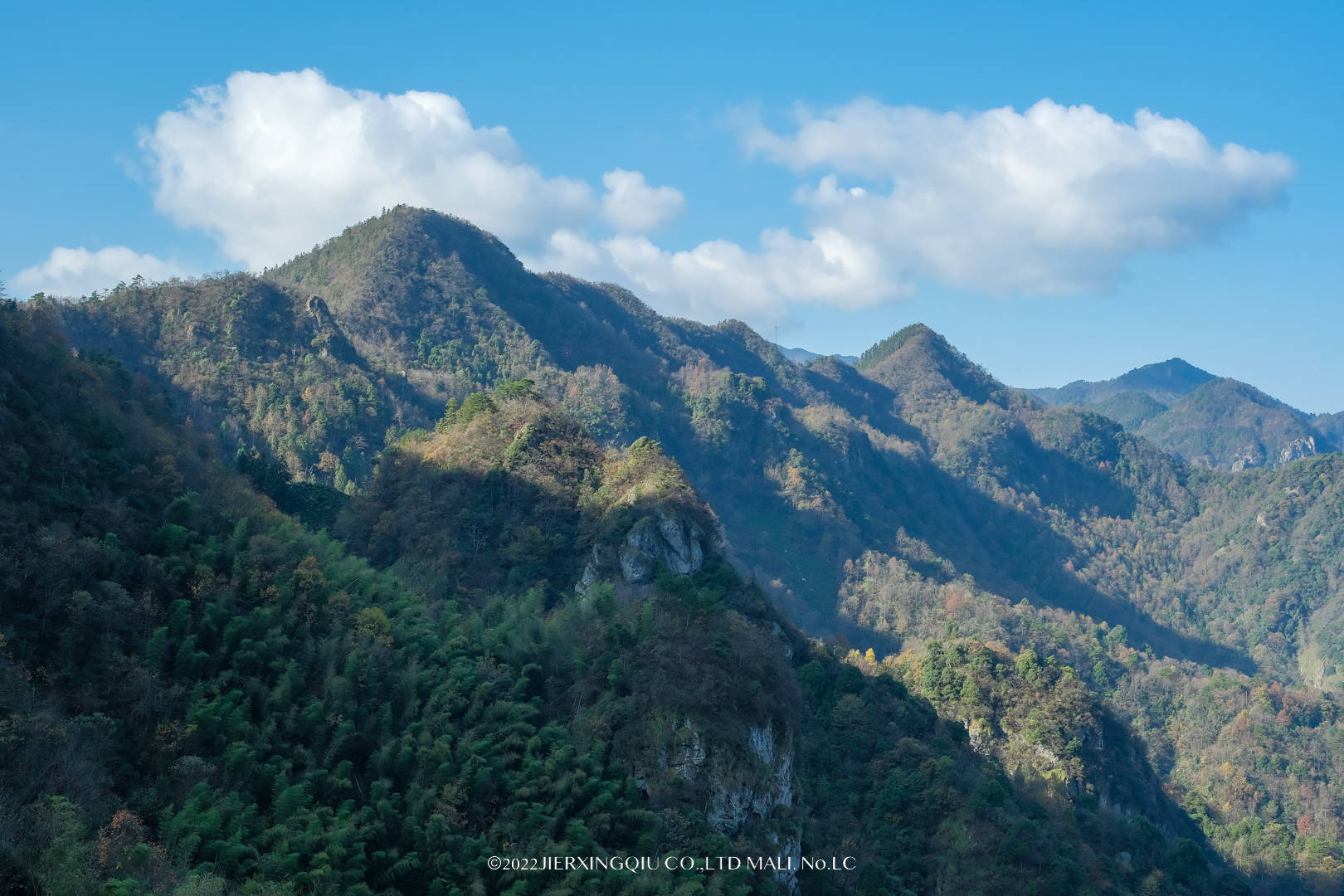 石台富硒茶口感如何(石台硒茶多少钱)-硒宝网