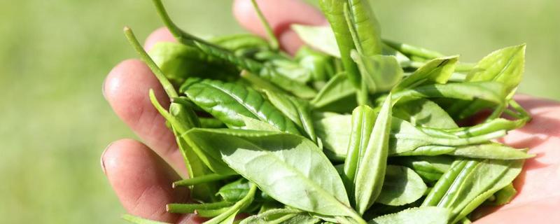 武昌恩施富硒茶企业（武昌茶叶）-硒宝网