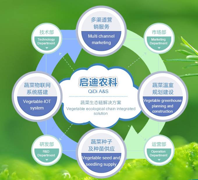 吃什么补钙最快(补钙吃什么好最快最有效)-硒宝网