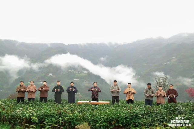 直播安康紫阳富硒茶（安康紫阳富硒茶价格）-硒宝网