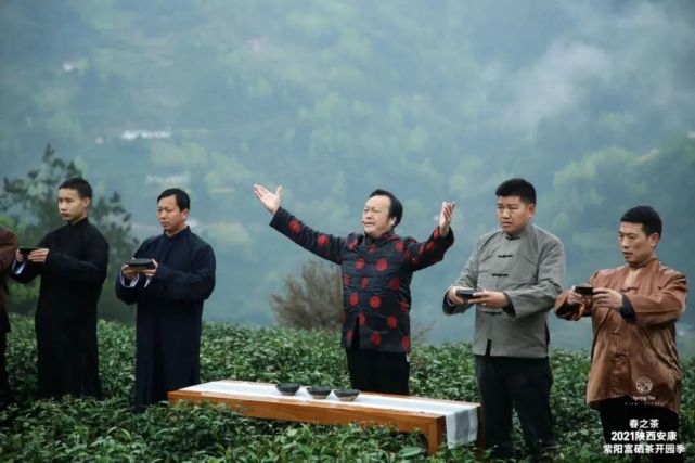 直播安康紫阳富硒茶（安康紫阳富硒茶价格）-硒宝网