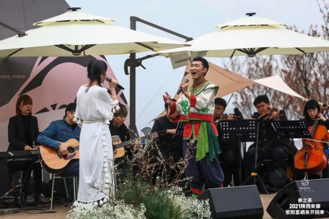 直播安康紫阳富硒茶（安康紫阳富硒茶价格）-硒宝网