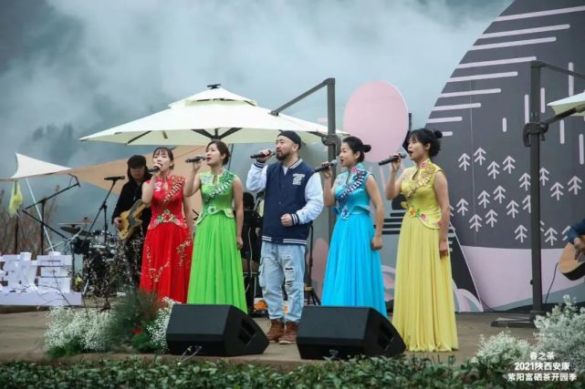 直播安康紫阳富硒茶（安康紫阳富硒茶价格）-硒宝网