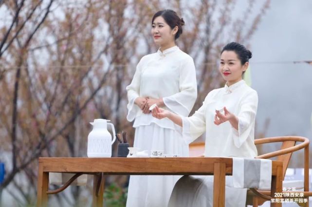 直播安康紫阳富硒茶（安康紫阳富硒茶价格）-硒宝网