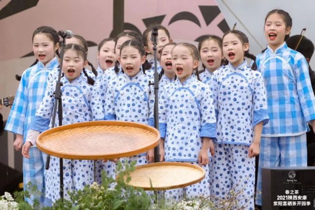 直播安康紫阳富硒茶（安康紫阳富硒茶价格）-硒宝网