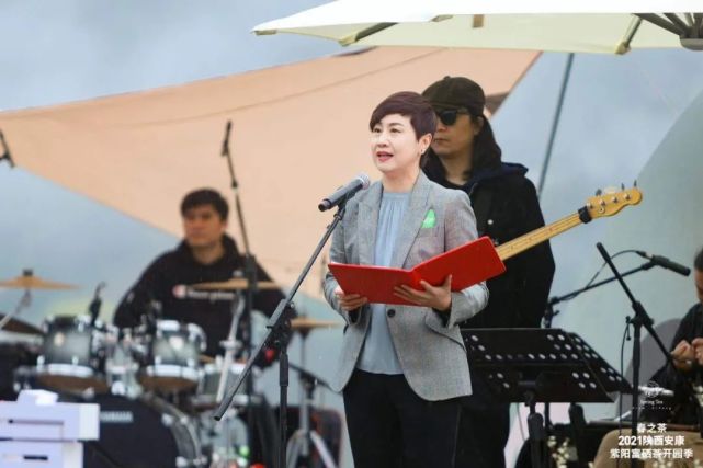 直播安康紫阳富硒茶（安康紫阳富硒茶价格）-硒宝网