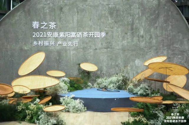 直播安康紫阳富硒茶（安康紫阳富硒茶价格）-硒宝网