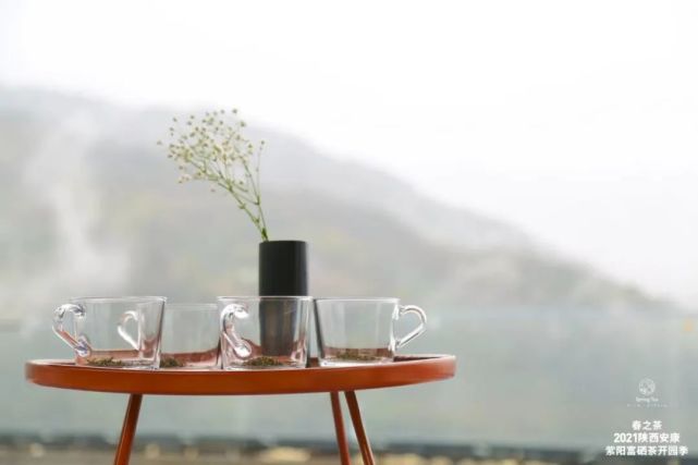 直播安康紫阳富硒茶（安康紫阳富硒茶价格）-硒宝网