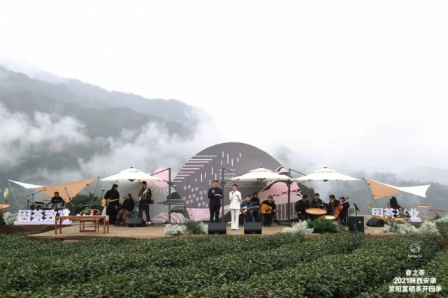 直播安康紫阳富硒茶（安康紫阳富硒茶价格）-硒宝网