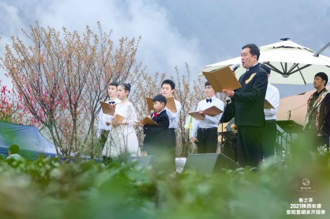 直播安康紫阳富硒茶（安康紫阳富硒茶价格）-硒宝网