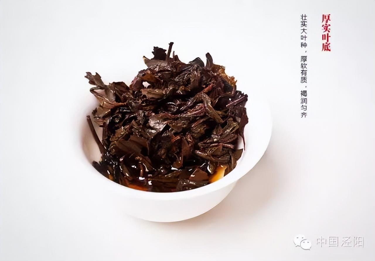 怎样挑选紫阳富硒茶(紫阳富硒茶哪个牌子好)-硒宝网