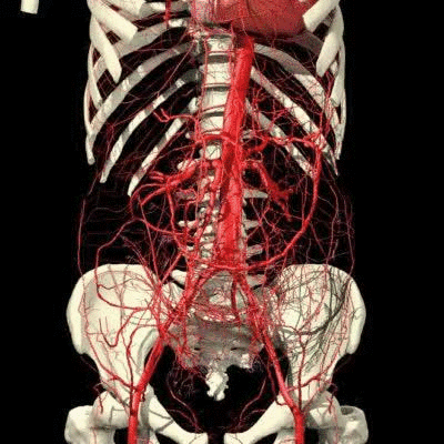 60岁补钙吃什么钙片好（补钙吃钙片好还是氨糖软骨素好）-硒宝网