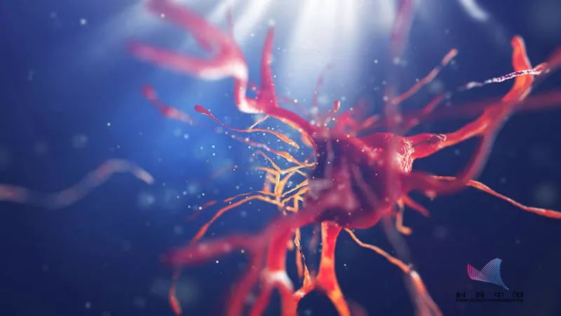 60岁补钙吃什么钙片好（补钙吃钙片好还是氨糖软骨素好）-硒宝网