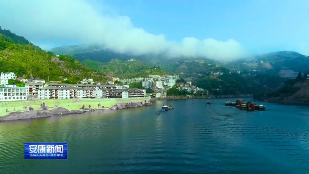 紫阳富硒茶采摘过程(紫阳富硒茶采摘时间)-硒宝网